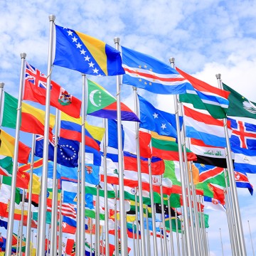 Custom Flags with Logo
