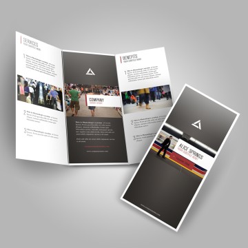 A3 Brochure